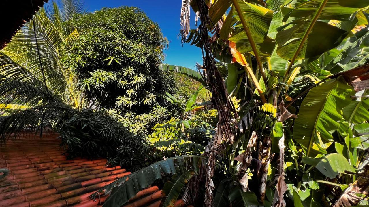 Pura Vida Surf House Hotel Barra Grande  Luaran gambar